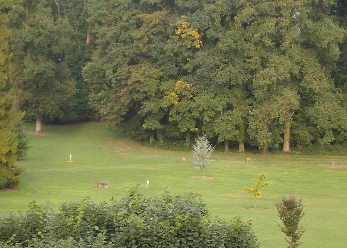 Chateau De Montbraye Panzió 3*